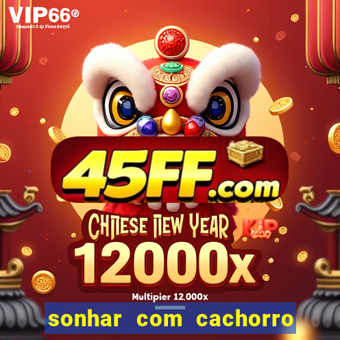 sonhar com cachorro numeros da mega sena